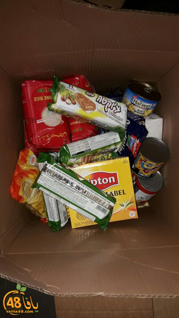 jjam3iya yaffa torod (10).jpg